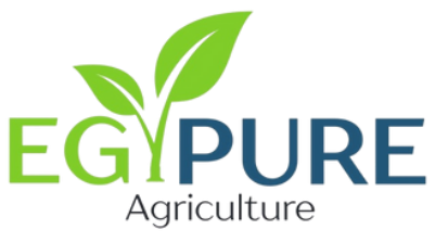 EGYPURE Logo