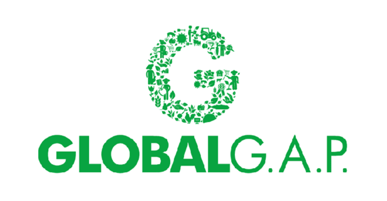 Screenshot 2025-11-30 204709